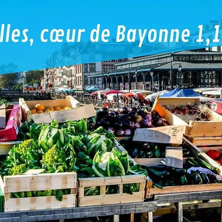 Eroso Saint Esprit Proche Gare Wifi Bureaux Appartement Bayonne